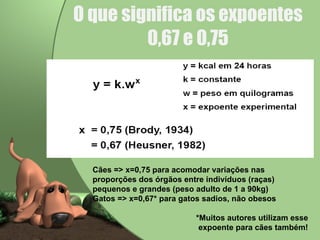 O que significa os expoentes 0,67 e 0,75 Cães => x=0,75 para acomodar variações nas proporções dos órgãos entre indivíduos (raças) pequenos e grandes (peso adulto de 1 a 90kg) Gatos => x=0,67* para gatos sadios, não obesos *Muitos autores utilizam esse expoente para cães também! 