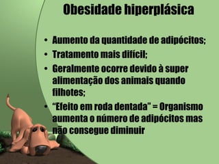 Obesidade hiperplásica Aumento da quantidade de adipócitos; Tratamento mais difícil; Geralmente ocorre devido à super alimentação dos animais quando filhotes; “ Efeito em roda dentada” = Organismo aumenta o número de adipócitos mas não consegue diminuir 