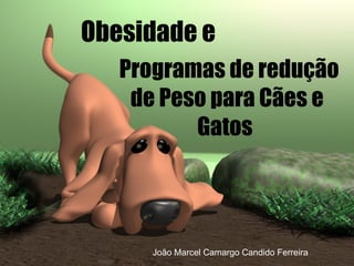 Obesidade e  Programas de redução de Peso para Cães e Gatos  João Marcel Camargo Candido Ferreira  