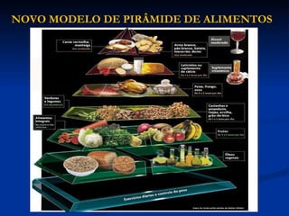 NOVO MODELO DE PIRÂMIDE DE ALIMENTOS 