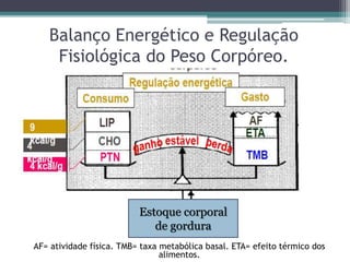 Balanço Energético e Regulação
Fisiológica do Peso Corpóreo.
Estoque corporal
de gordura
AF= atividade física. TMB= taxa metabólica basal. ETA= efeito térmico dos
alimentos.
 