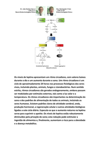 Os níveis de leptina apresentam um ritmo circadiano, com valores baixos
durante o dia e um aumento durante o sono. Um ritmo circadiano é um
ciclo de aproximadamente 24 horas nos processos fisiológicos dos seres
vivos, incluindo plantas, animais, fungos e cianobactérias. Num sentido
estrito, ritmos circadianos são gerados endogenamente, embora possam
ser modulados por estímulos externos, tais como a luz solar e a
temperatura. Os ritmos circadianos são importantes na determinação do
sono e dos padrões de alimentação de todos os animais, incluindo os
seres humanos. Existem padrões claros de atividade cerebral, onda,
produção hormonal, a regeneração celular e outras atividades biológicas
ligadas a este ciclo diário. Especula-se que o aumento noturno na leptina
serve para suprimir o apetite. Os níveis de leptina estão robustamente
diminuídos pela privação do sono; esta redução pode estimular a
ingestão de alimentos e, finalmente, aumentam o risco para a obesidade
e a doença metabólica.
 