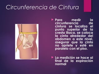 Circunferencia de Cintura
 Para medir la
circunferencia de
cintura se localiza el
punto superior de la
cresta iliaca, se coloca
la cinta alrededor del
abdomen a este nivel,
asegurar que la cinta
no apriete y esté en
paralelo con el piso.
 La medición se hace al
final de la expiración
normal
 