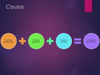 Causas
 