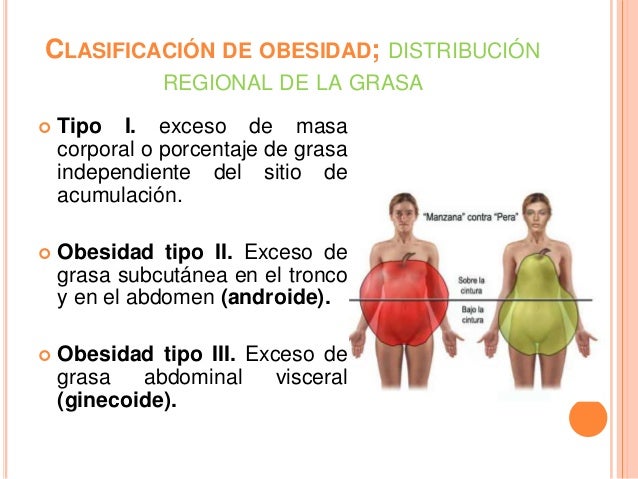 Obesidad en el adulto 1 exponer 2 Obesidad en el adulto 1 exponer 2