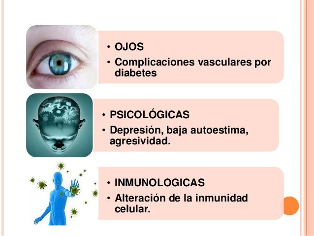 Obesidad en el adulto 1 exponer 2 Obesidad en el adulto 1 exponer 2