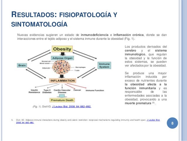 Obesidad, estado actual de la epidemia del siglo XXI Obesidad, estado actual de la epidemia del siglo XXI