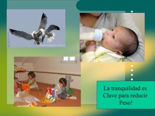 La tranquilidad es  Clave para reducir  Peso! 