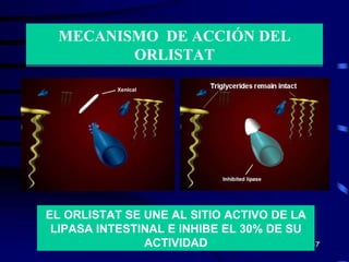MECANISMO  DE ACCIÓN DEL ORLISTAT EL ORLISTAT SE UNE AL SITIO ACTIVO DE LA LIPASA INTESTINAL E INHIBE EL 30% DE SU ACTIVIDAD 