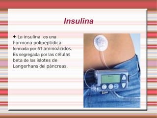 Insulina La  insulina  es una  hormona   polipeptídica  formada por 51  aminoácidos . Es segregada por las  células beta  de los  islotes de Langerhans  del  páncreas . 