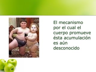 El mecanismo
por el cual el
cuerpo promueve
ésta acumulación
es aún
desconocido

 