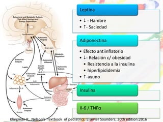 •  - Hambre
• - Saciedad
Leptina
• Efecto antiinflatorio
• - Relación c/ obesidad
• Resistencia a la insulina
• hiperlipididemia
• -ayuno
Adiponectina
Insulina
Il-6 / TNFα
Kliegman R. Nelson’s Textbook of pediatrics. Elsevier Saunders; 20th edition:2016
 
