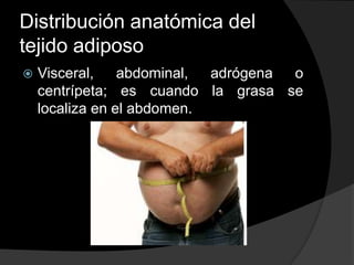 Distribución anatómica del
tejido adiposo
   Visceral,    abdominal, adrógena o
    centrípeta; es cuando la grasa se
    localiza en el abdomen.
 