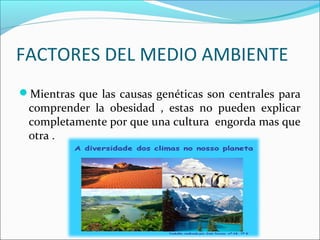 FACTORES DEL MEDIO AMBIENTE
Mientras que las causas genéticas son centrales para
comprender la obesidad , estas no pueden explicar
completamente por que una cultura engorda mas que
otra .
 