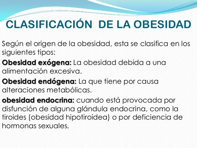 obesidad 10 638