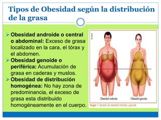 Tipos de Obesidad según la distribución
de la grasa
Obesidad androide o central
o abdominal: Exceso de grasa
localizado en la cara, el tórax y
el abdomen.
Obesidad genoide o
periférica: Acumulación de
grasa en caderas y muslos.
Obesidad de distribución
homogénea: No hay zona de
predominancia, el exceso de
grasa esta distribuido
homogéneamente en el cuerpo.
 