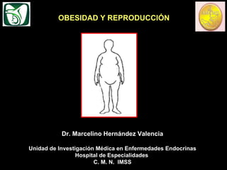 Dr. Marcelino Hernández Valencia Unidad de Investigación Médica en Enfermedades Endocrinas Hospital de Especialidades  C. M. N.  IMSS OBESIDAD Y REPRODUCCIÓN 