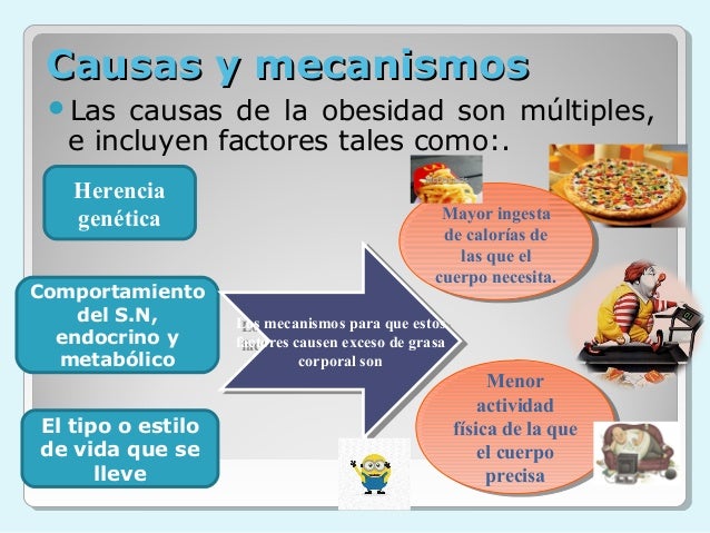Obesidad y sobrepeso Obesidad y sobrepeso
