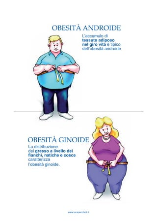 www.lucapecchioli.it
L’accumulo di
tessuto adiposo
nel giro vita è tipico
dell’obesità androide
La distribuzione
del grasso a livello dei
fianchi, natiche e cosce
caratterizza
l’obesità ginoide.
OBESITÀ ANDROIDE
OBESITÀ GINOIDE
 