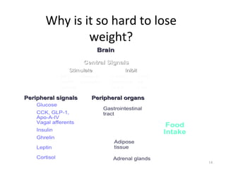 Why is it so hard to lose
               weight?
                                                              External factors
                                Brain                         Emotions
                                                              Food characteristics
                          Central Signals                     Lifestyle behaviors
                  Stimulate                   Inibit          Environmental cues
               NPY       Orexin-A       α-MSH          CART
               AGRP      dynorphin      CRH/UCN        NE
               galanin                  GLP-I          5-HT

Peripheral signals            Peripheral organs
    Glucose
                                     Gastrointestinal
    CCK, GLP-1,                      tract
−   Apo-A-IV
    Vagal afferents
                                                                Food
    Insulin
                                                               Intake
+   Ghrelin
                                         Adipose
−   Leptin                               tissue

+   Cortisol                             Adrenal glands
                                                                                     14
 