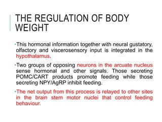 THE REGULATION OF BODY
WEIGHT
•This hormonal information together with neural gustatory,
olfactory and viscerosensory input is integrated in the
hypothalamus.
•Two groups of opposing neurons in the arcuate nucleus
sense hormonal and other signals. Those secreting
POMC/CART products promote feeding while those
secreting NPY/AgRP inhibit feeding.
•The net output from this process is relayed to other sites
in the brain stem motor nuclei that control feeding
behaviour.
 