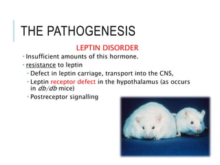 THE PATHOGENESIS
LEPTIN DISORDER
 Insufficient amounts of this hormone.
 resistance to leptin
 Defect in leptin carriage, transport into the CNS,
 Leptin receptor defect in the hypothalamus (as occurs
in db/db mice)
 Postreceptor signalling
 
