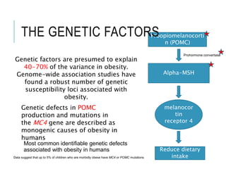 Proopiomelanocorti
n (POMC)
Alpha-MSH
melanocor
tin
receptor 4
Genetic defects in POMC
production and mutations in
the MC4 gene are described as
monogenic causes of obesity in
humans
Reduce dietary
intakeData suggest that up to 5% of children who are morbidly obese have MC4 or POMC mutations
Most common identifiable genetic defects
associated with obesity in humans
Prohormone convertase
Genetic factors are presumed to explain
40-70% of the variance in obesity.
Genome-wide association studies have
found a robust number of genetic
susceptibility loci associated with
obesity.
THE GENETIC FACTORS
 