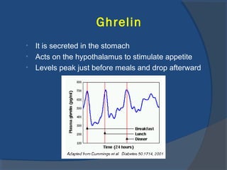 Ghrelin
• It is secreted in the stomach
• Acts on the hypothalamus to stimulate appetite
• Levels peak just before meals and drop afterward
 