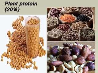 Plant proteinPlant protein
(20%)(20%)
 