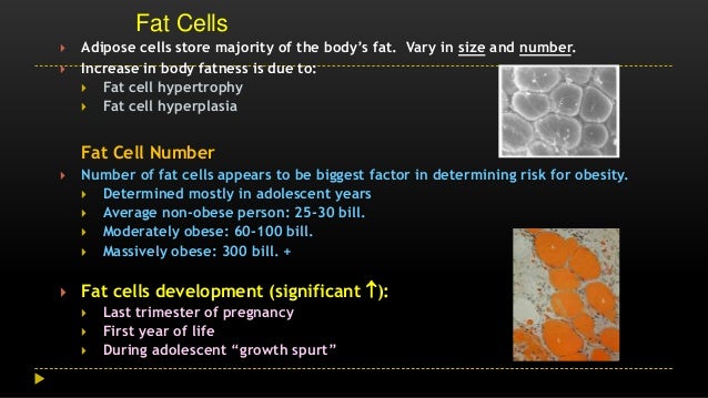 Weight loss for 47 year old man image 3
