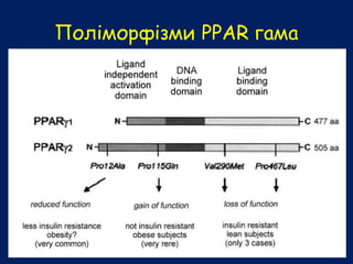 Поліморфізми РРАR гама
 