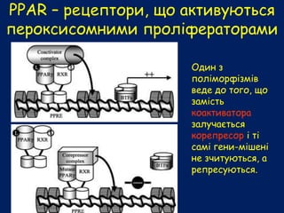 РРАR – рецептори, що активуються
пероксисомними проліфераторами
Один з
поліморфізмів
веде до того, що
замість
коактиватора
залучається
корепресор і ті
самі гени-мішені
не зчитуються, а
репресуються.
 