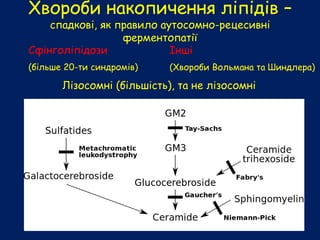 Хвороби накопичення ліпідів –
спадкові, як правило аутосомно-рецесивні
ферментопатії
Лізосомні (більшість), та не лізосомні
Сфінголіпідози
(більше 20-ти синдромів)
Інші
(Хвороби Вольмана та Шиндлера)
 