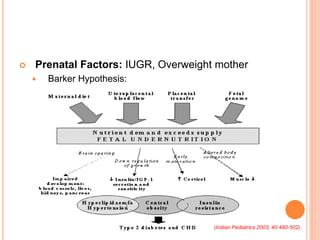  Prenatal Factors: IUGR, Overweight mother
 Barker Hypothesis:
(Indian Pediatrics 2003; 40:480-502)
 