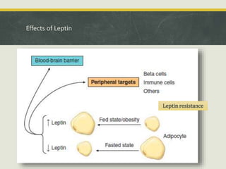 Effects of Leptin
Leptin resistance
 