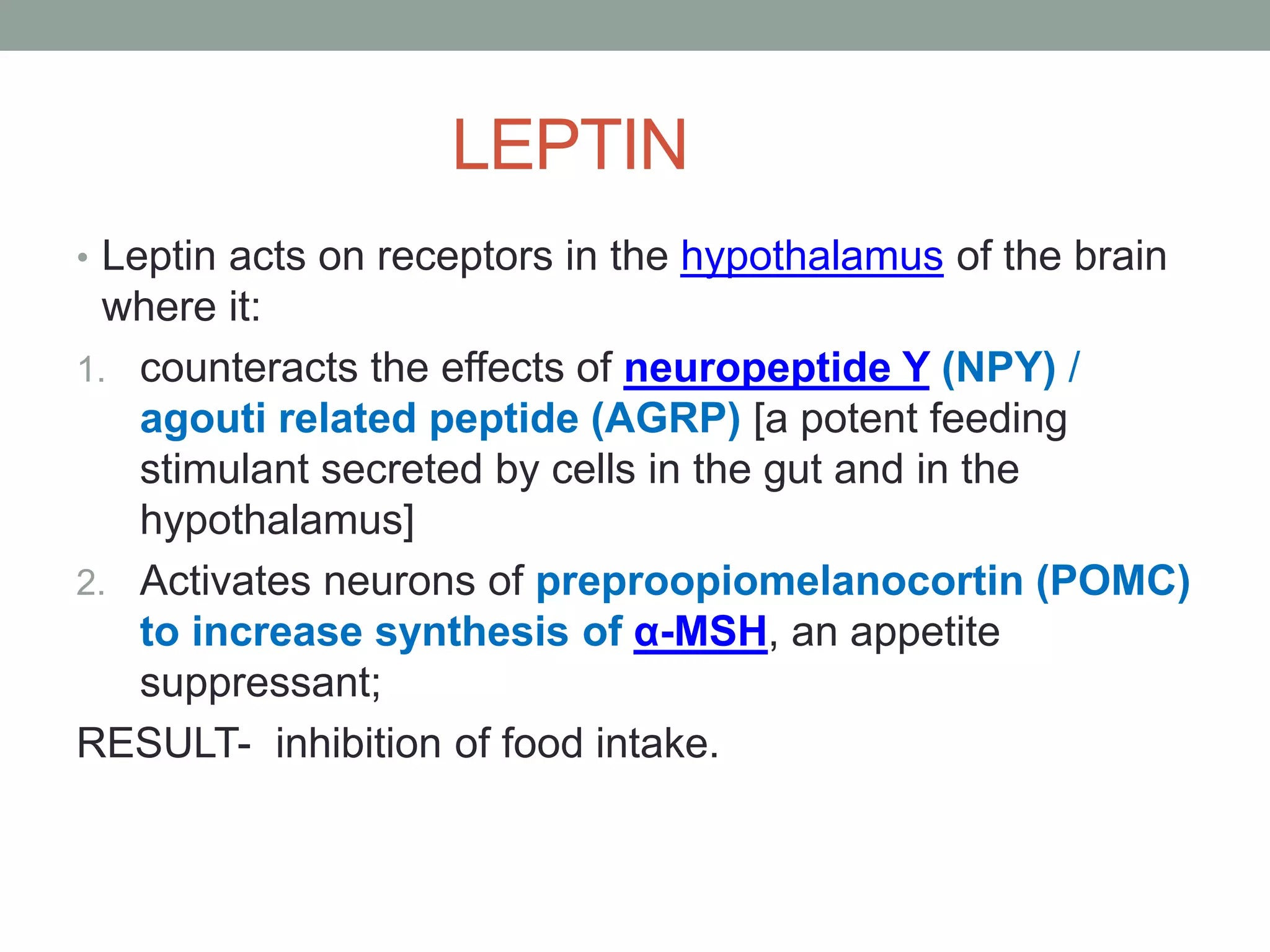 LEPTIN
• Leptin acts on receptors in the hypothalamus of the brain
where it:
1. counteracts the effects of neuropeptide Y (NPY) /
agouti related peptide (AGRP) [a potent feeding
stimulant secreted by cells in the gut and in the
hypothalamus]
2. Activates neurons of preproopiomelanocortin (POMC)
to increase synthesis of α-MSH, an appetite
suppressant;
RESULT- inhibition of food intake.
 