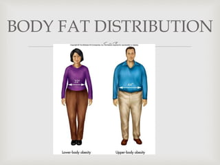 
BODY FAT DISTRIBUTION
 