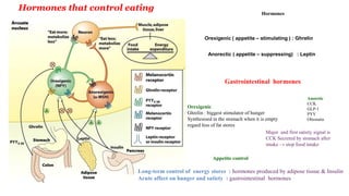 Hormones that control eating
Hormones
Orexigenic ( appetite – stimulating ) : Ghrelin
Anorectic ( appetite – suppressing) : Leptin
Long-term control of energy stores : hormones produced by adipose tissue & Insulin
Acute affect on hunger and satiety : gastrointestinal hormones
Appetite control
Gastrointestinal hormones
Orexigenic
Ghrelin : biggest stimulator of hunger
Synthesised in the stomach when it is empty
regard less of fat stores
Anoretic
CCK
GLP-1
PYY
Obestatin
Major and first satiety signal is
CCK Secreted by stomach after
intake → stop food intake
 