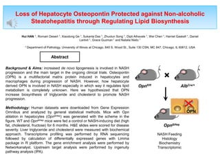 Loss of Hepatocyte Osteopontin Protected against Non-alcoholic
Steatohepatitis through Regulating Lipid Biosynthesis
Hui HAN 1, Romain Desert 1, Xiaodong Ge 1, Sukanta Das 1, Zhuolun Song 1, Dipti Athavale 1, Wei Chen 1, Harriet Gaskell 1, Daniel
Lantvit 1, Grace Guzman 1 and Natalia Nieto 1
1 Department of Pathology, University of Illinois at Chicago, 840 S. Wood St., Suite 130 CSN, MC 847, Chicago, IL 60612, USA
Background & Aims: increased de novo lipogenesis is involved in NASH
progression and the main target in the ongoing clinical trials. Osteopontin
(OPN) is a multifactorial matrix protein induced in hepatocytes and
macrophages during progression of NASH. However, how hepatocyte
derived OPN is involved in NASH especially in which way it regulates lipid
metabolism is completely unknown. Here we hypothesized that OPN
increase biosynthesis of triglyceride and cholesterol to promote NASH
progression.
Methodology: Human datasets were downloaded from Gene Expression
Omnibus and analyzed by general statistical methods. Mice with Opn
ablation in hepatocytes (OpnΔHep) was generated with the scheme in the
figure. WT and OpnΔHep mice were fed a control or NASH-inducing diet (high
fat, cholesterol, fructose) for 6 months. H&E slides were scored for disease
severity. Liver triglyceride and cholesterol were measured with biochemical
approach. Transcriptome profiling was performed by RNA sequencing
followed by calculation of differentially expressed genes with Limma
package in R platform. The gene enrichment analysis were performed by
Networkanalyst. Upstream target analysis were performed by ingenuity
pathway analysis (IPA).
Abstract
Opnfl/fl
×
AlbCre/+
OpnΔHep
OPN
NASH Feeding
Histology
Biochemistry
Transcriptomic
 