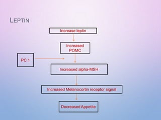LEPTIN
Increase leptin
Increased Melanocortin receptor signal
Increased
POMC
Increased alpha-MSH
DecreasedAppetite
PC 1
 