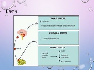 LEPTIN
 