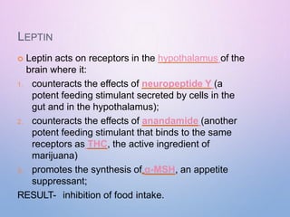 LEPTIN
 Leptin acts on receptors in the hypothalamus of the
brain where it:
1. counteracts the effects of neuropeptide Y (a
potent feeding stimulant secreted by cells in the
gut and in the hypothalamus);
2. counteracts the effects of anandamide (another
potent feeding stimulant that binds to the same
receptors as THC, the active ingredient of
marijuana)
3. promotes the synthesis of α-MSH, an appetite
suppressant;
RESULT- inhibition of food intake.
 