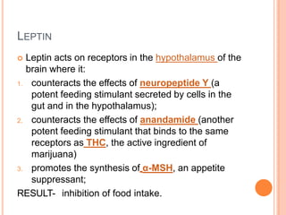 LEPTIN
 Leptin acts on receptors in the hypothalamus of the
brain where it:
1. counteracts the effects of neuropeptide Y ...