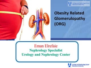 Eman Elrefaie
Obesity Related
Glomerulopathy
(ORG)
 