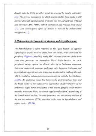 25
directly into the VMN, an effect which is reversed by insulin antibodies
(56). The precise mechanism by which insulin inhibits food intake is still
unclear although administration of insulin into the 3rd ventricle of fasted
rats increases ARC POMC mRNA expression and reduces food intake
(57). This anorexigenic effect of insulin is blocked by melanocortin
antagonists (57).
5.3Interactions between the brainstem and Hypothalamus:
The hypothalamus is often regarded as the “gate keeper” of appetite
signalling as it also receives input from the cortex, brain stem and the
periphery (Figures 3,4)milarly to the ARC, the area postrema of the brain
stem also possesses an incomplete blood brain barrier. As such,
peripheral satiety signals can also act directly on brainstem structures.
Extensive reciprocal neuronal pathways exist between brainstem and
hypothalamic appetite circuits to provide an alternative pathway through
which circulating satiety factors can communicate with the hypothalamus
(58,59). An additional major link between the gastrointestinal tract and
the brain exists via the vagus nerve. Cell bodies of afferent fibers of the
abdominal vagus nerve are located in the nodose ganglia, which project
onto the brainstem. Here, the dorsal vagal complex (DVC) (consisting of
the dorsal motor nucleus, the area postrema, and the sensory nucleus of
the tractus solitarius (NTS)) contains projections to hypothalamic and
higher centers (58,59).
 