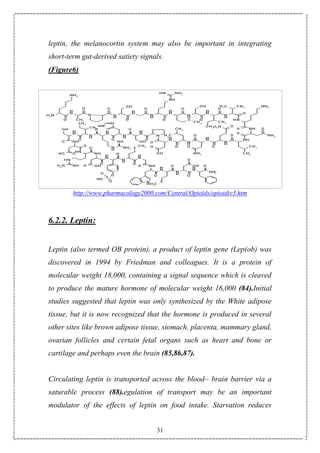 31
leptin, the melanocortin system may also be important in integrating
short-term gut-derived satiety signals.
(Figure6)
http://www.pharmacology2000.com/Central/Opioids/opioidiv3.htm
6.2.2. Leptin:
Leptin (also termed OB protein), a product of leptin gene (Lep(ob) was
discovered in 1994 by Friedman and colleagues. It is a protein of
molecular weight 18,000, containing a signal sequence which is cleaved
to produce the mature hormone of molecular weight 16,000 (84).Initial
studies suggested that leptin was only synthesized by the White adipose
tissue, but it is now recognized that the hormone is produced in several
other sites like brown adipose tissue, stomach, placenta, mammary gland,
ovarian follicles and certain fetal organs such as heart and bone or
cartilage and perhaps even the brain (85,86,87).
Circulating leptin is transported across the blood– brain barrier via a
saturable process (88).egulation of transport may be an important
modulator of the effects of leptin on food intake. Starvation reduces
 