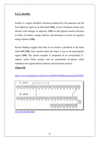38
6.2.5. Insulin:
Insulin is a major metabolic hormone produced by the pancreas and the
first adiposity signal to be described (104). Levels of plasma insulin vary
directly with changes in adiposity (105) so that plasma insulin increases
at times of positive energy balance and decreases at times of negative
energy balance (106).
Recent findings suggest that little or no insulin is produced in the brain
itself (107,108). Once insulin enters the brain, it acts as an anorexigenic
signal (109). The insulin receptor is composed of an extracellular β -
subunit which binds insulin, and an intracellular β-subunit which
transduces the signal and has intrinsic tyrosine kinase activity.
(Figure10)
http://www.bio.davidson.edu/Courses/Molbio/MolStudents/spring2010/H
olzwarth/Insulin.html
 