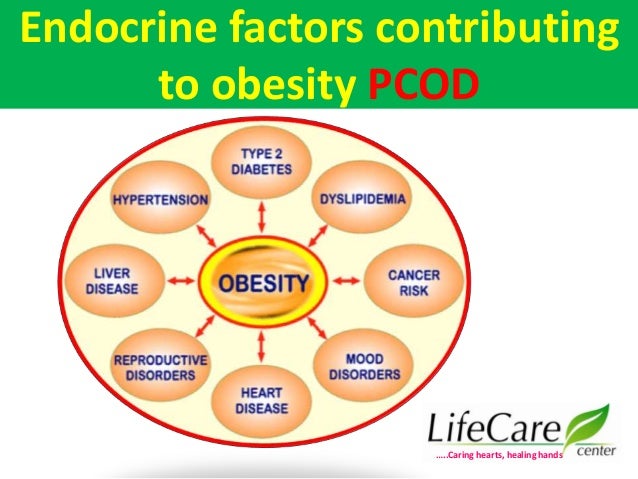 factors contributing to dengue fever Ehs ch 5 chap 5 study factors contributing to increases in the occurrence of emerging zoonoses include: the vector for dengue fever is. factors contributing to dengue fever Ehs ch 5 chap 5 study factors contributing to increases in the occurrence of emerging zoonoses include: the vector for dengue fever is.