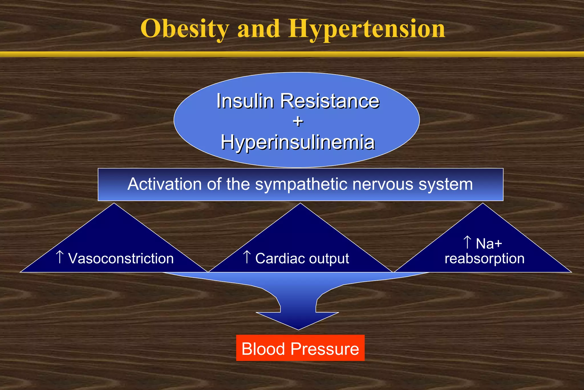 Obesity and Cardiovascular Diseases | PPT