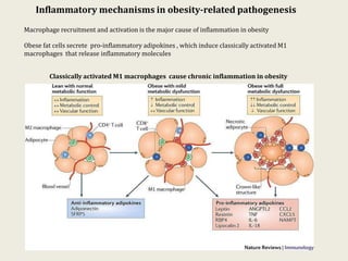 Obesity and inflammation | PPTX